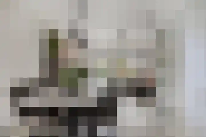 Oude Haaksbergerweg 72 Goor thumbnail 4