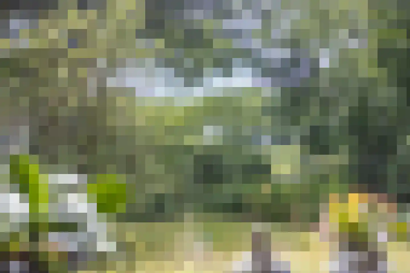 Oude Haaksbergerweg 80 Goor thumbnail 13