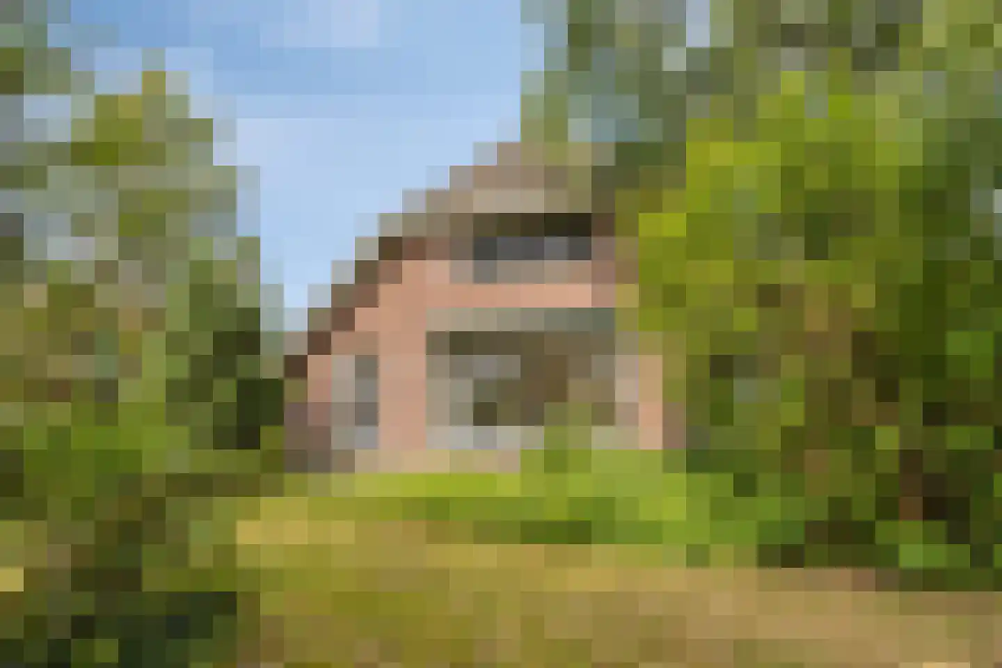 Oude Haaksbergerweg 80 Goor thumbnail 32