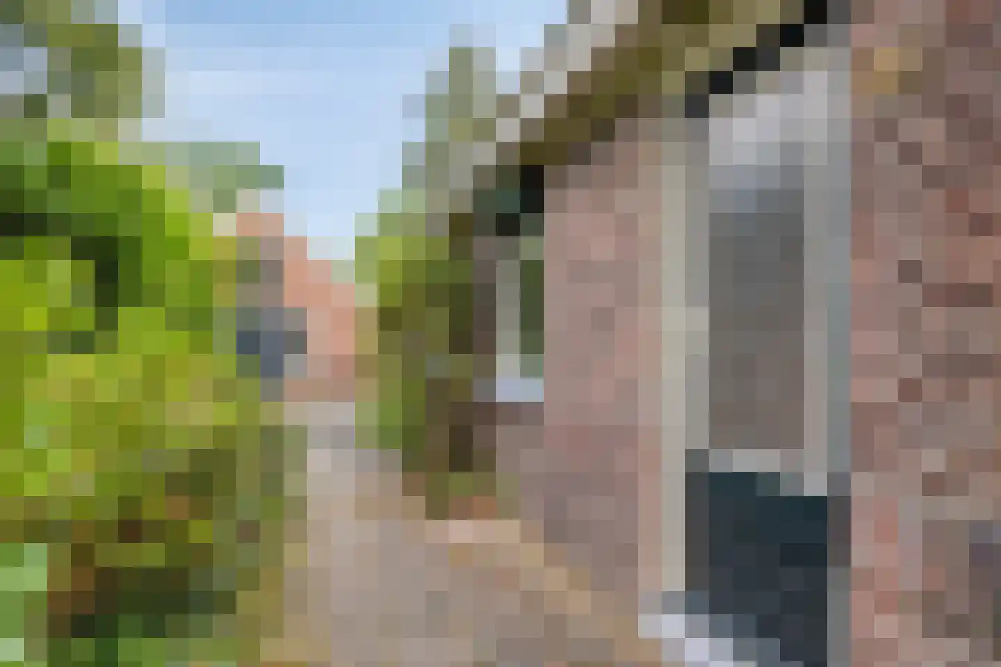 Oude Haaksbergerweg 80 Goor thumbnail 33
