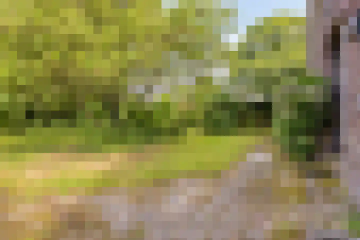 Oude Haaksbergerweg 80 Goor thumbnail 35
