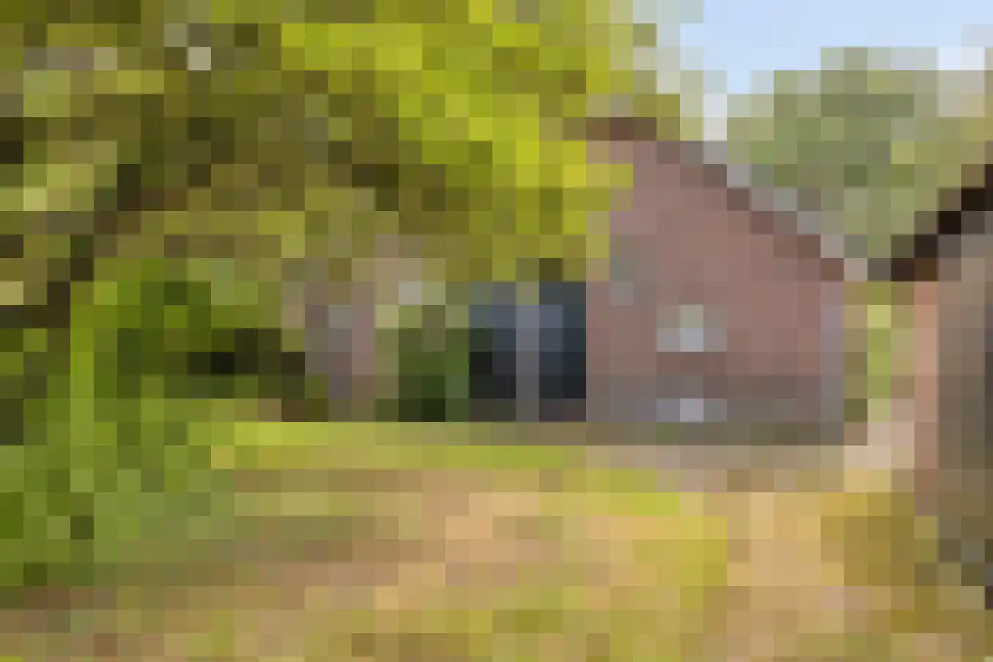 Oude Haaksbergerweg 80 Goor thumbnail 36