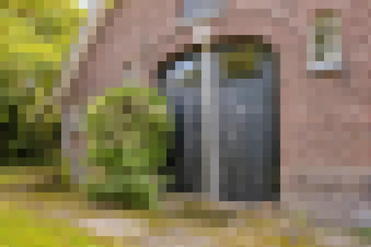 Oude Haaksbergerweg 80 Goor thumbnail 37