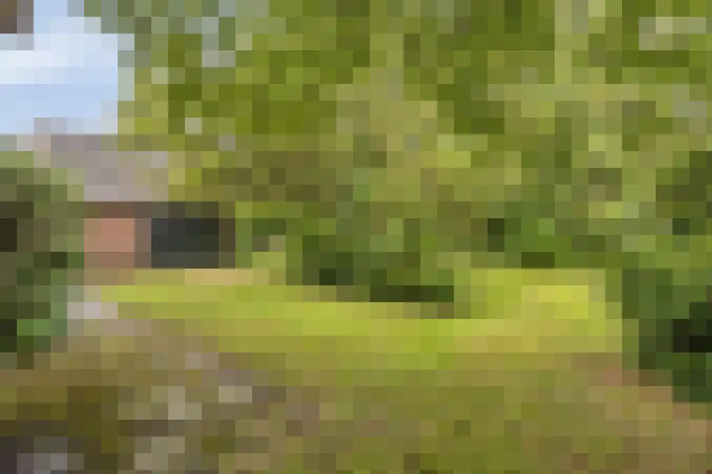 Oude Haaksbergerweg 80 Goor thumbnail 38