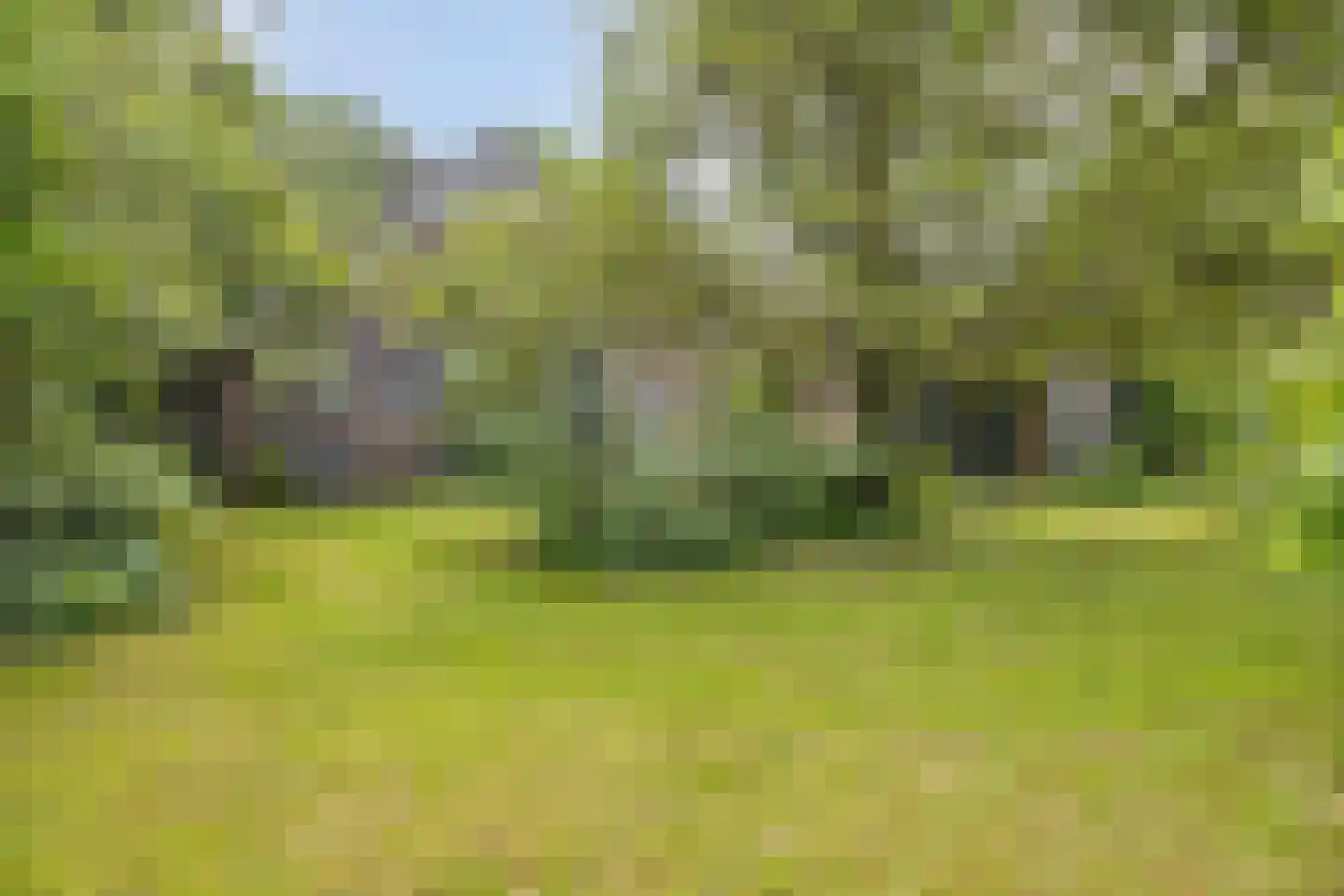 Oude Haaksbergerweg 80 Goor thumbnail 39