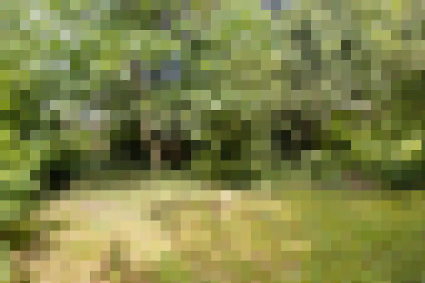 Oude Haaksbergerweg 80 Goor thumbnail 40