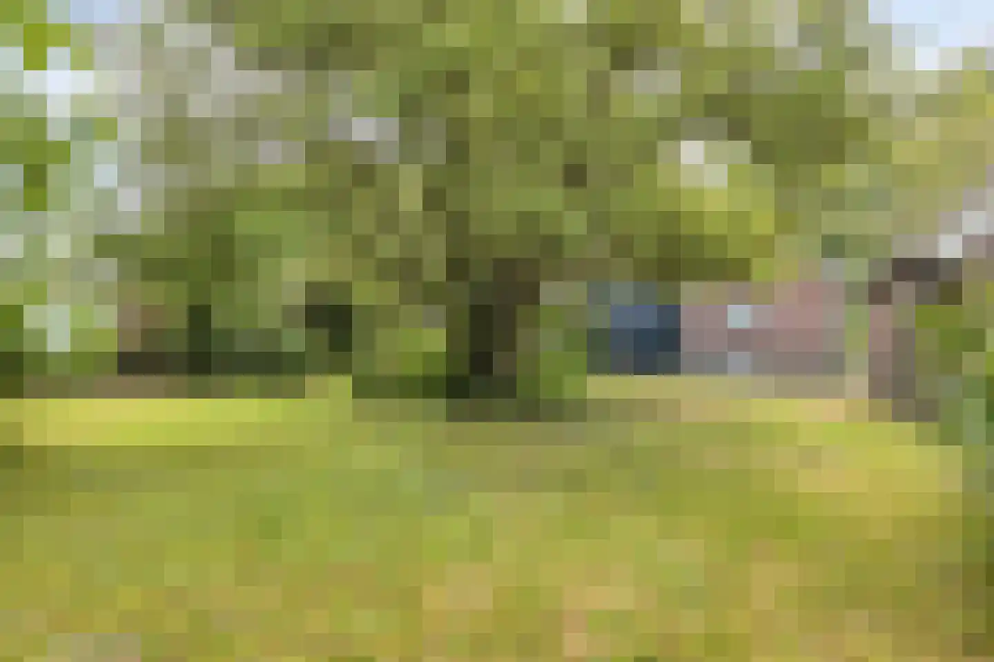 Oude Haaksbergerweg 80 Goor thumbnail 42