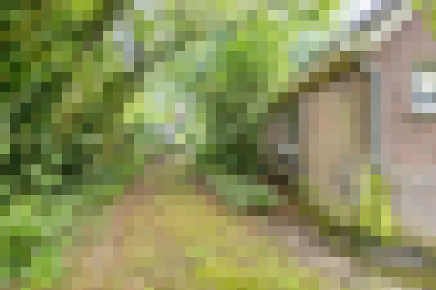 Oude Haaksbergerweg 80 Goor thumbnail 43