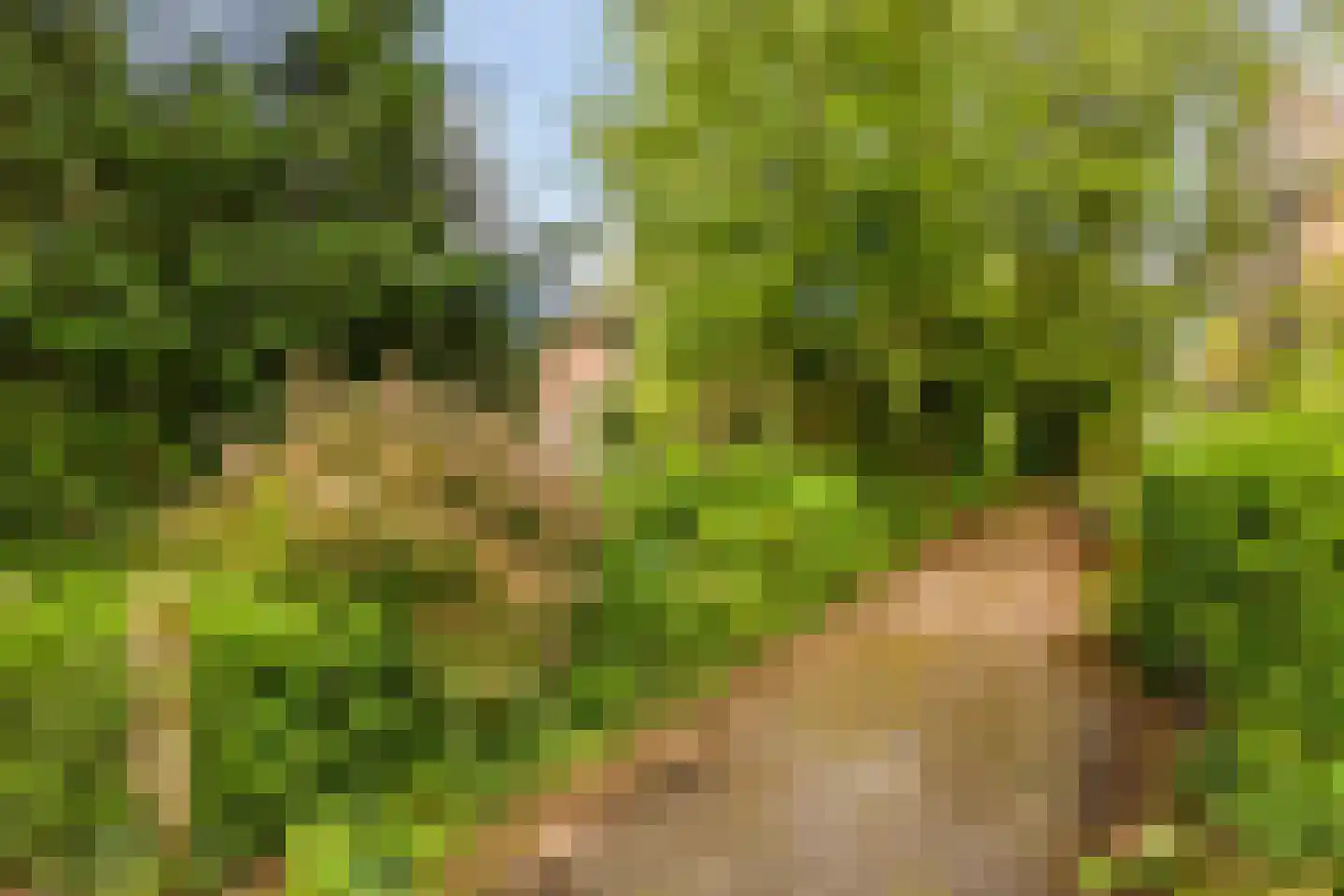Oude Haaksbergerweg 80 Goor thumbnail 44