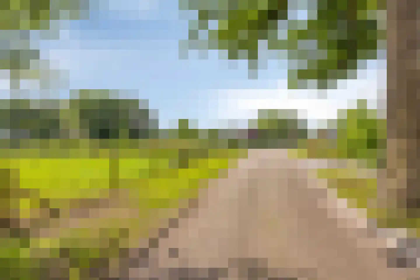 Oude Haaksbergerweg 80 Goor thumbnail 45