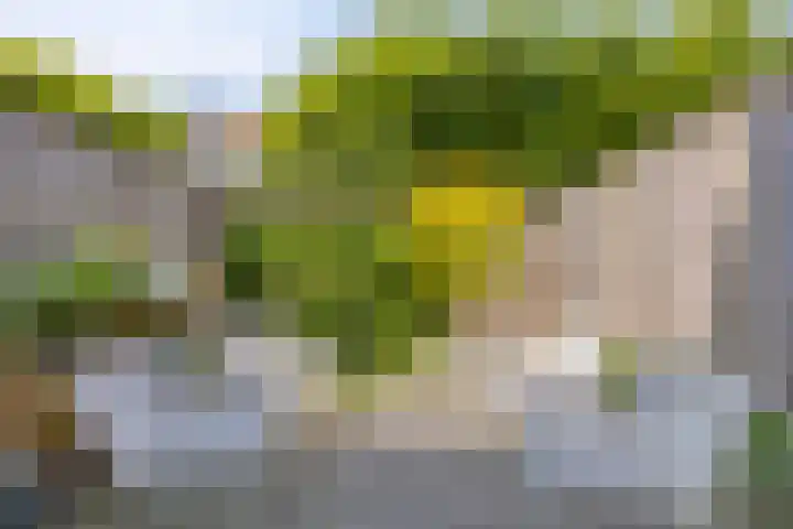 Oude Haarenseweg 1 A Oisterwijk thumbnail 23