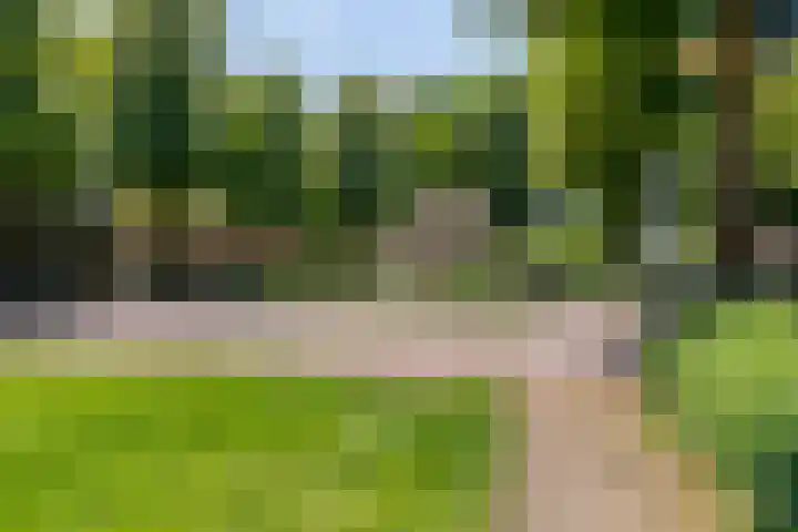 Oude Haarenseweg 1 A Oisterwijk thumbnail 25