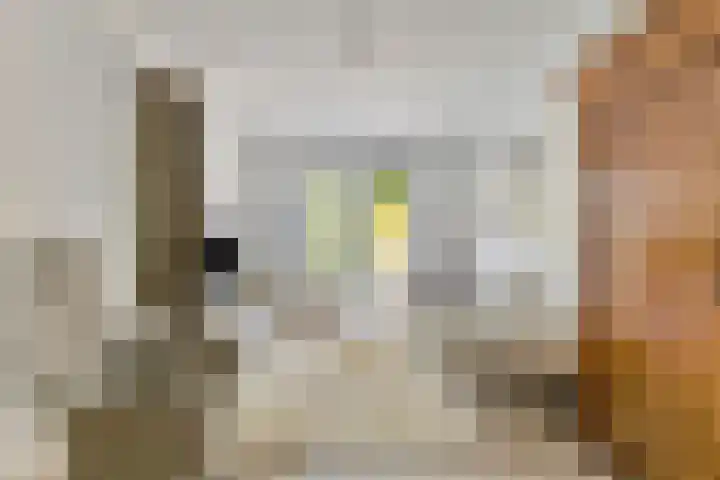 Oude Haarenseweg 1 A Oisterwijk thumbnail 5