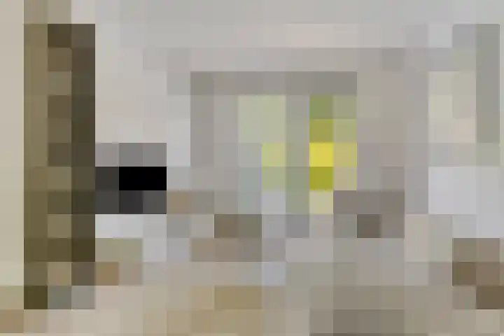 Oude Haarenseweg 1 A Oisterwijk thumbnail 6