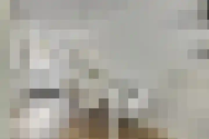 Oude Haarenseweg 1 A Oisterwijk thumbnail 8