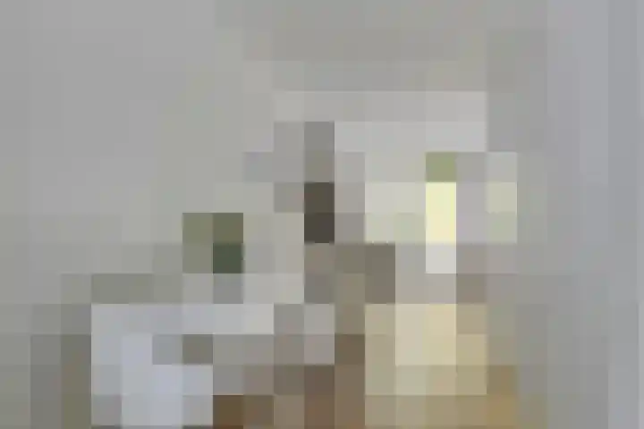 Oude Haarenseweg 1 A Oisterwijk thumbnail 9