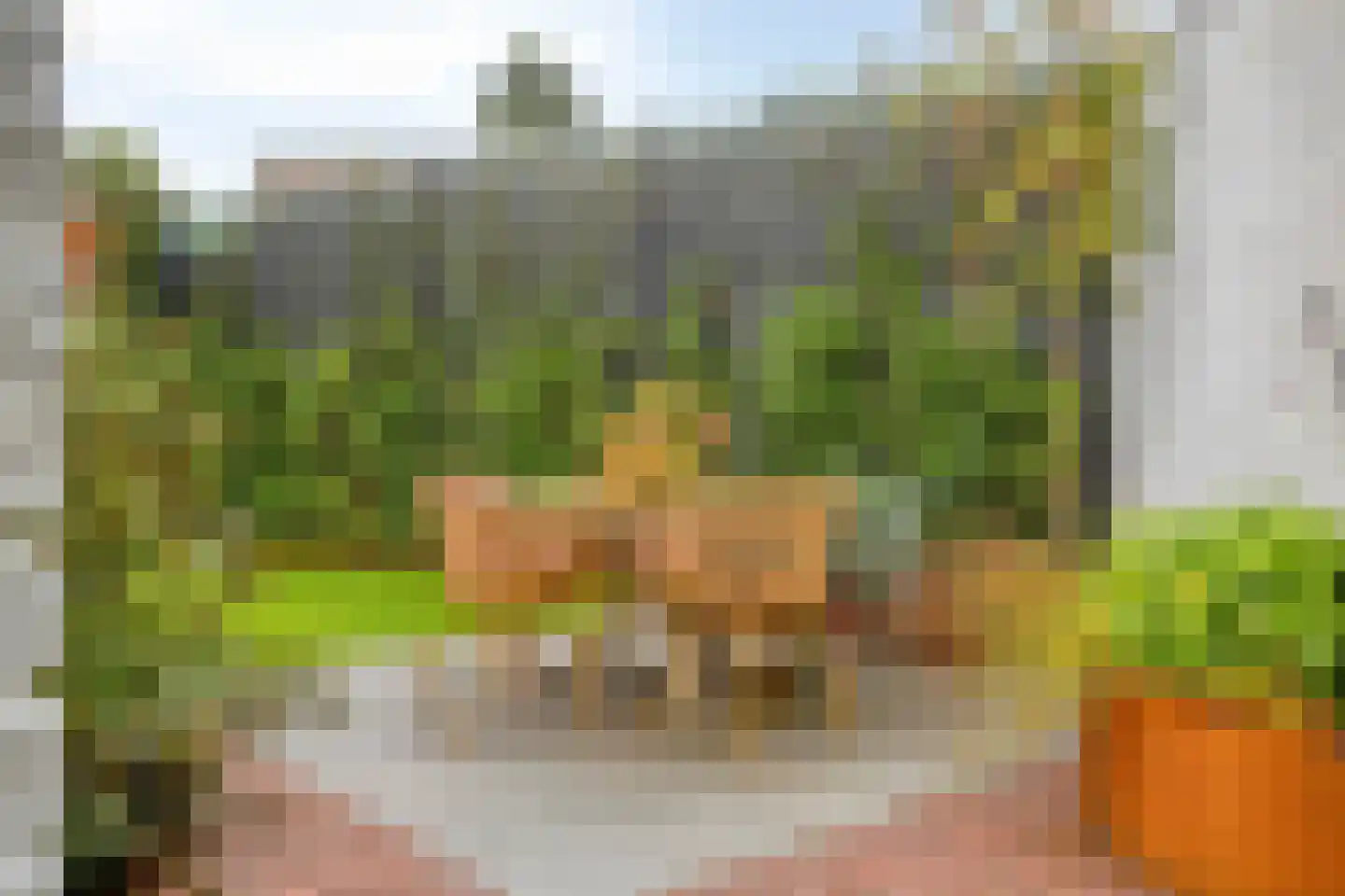 Oude Haarenseweg 17 Oisterwijk thumbnail 38