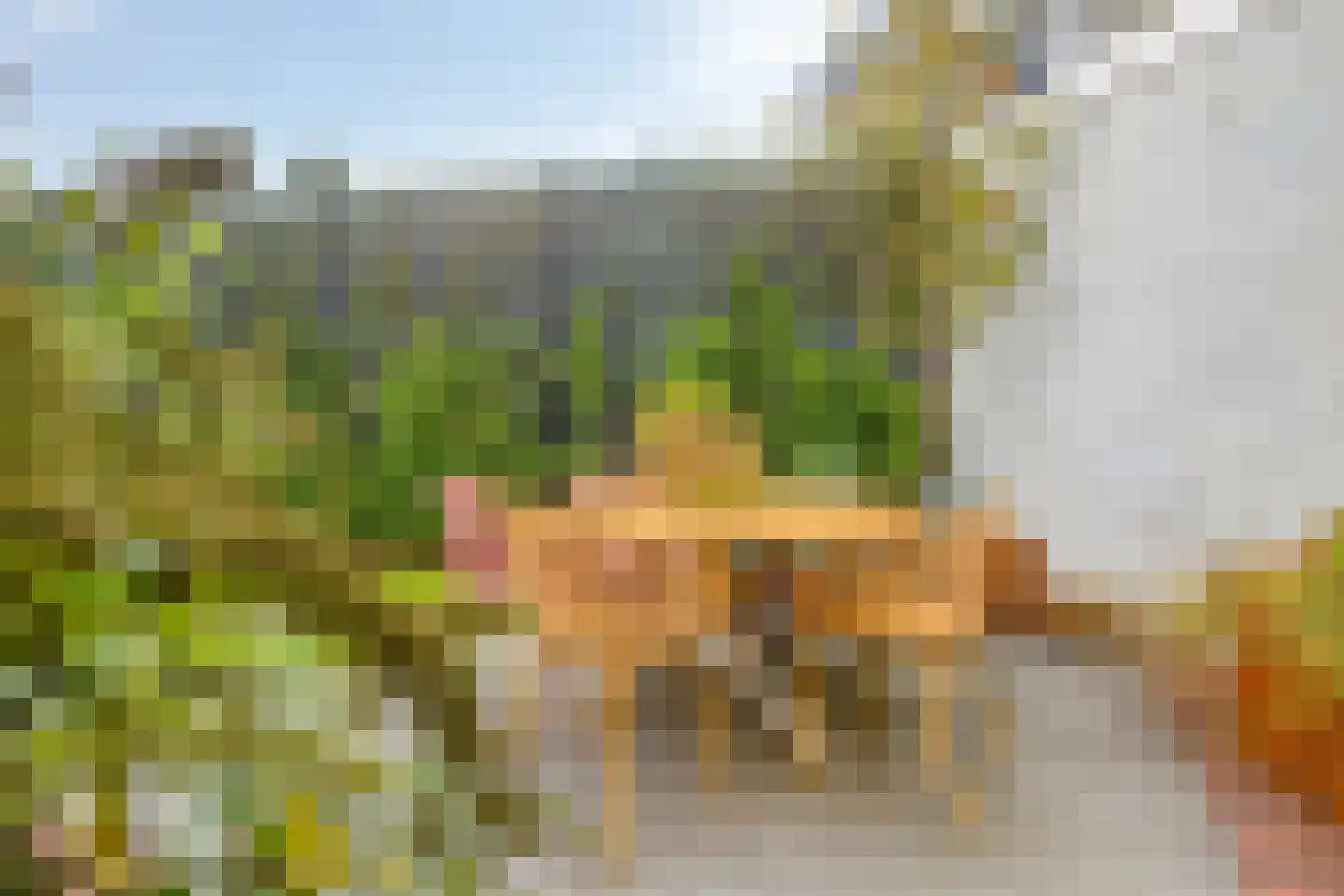 Oude Haarenseweg 17 Oisterwijk thumbnail 41