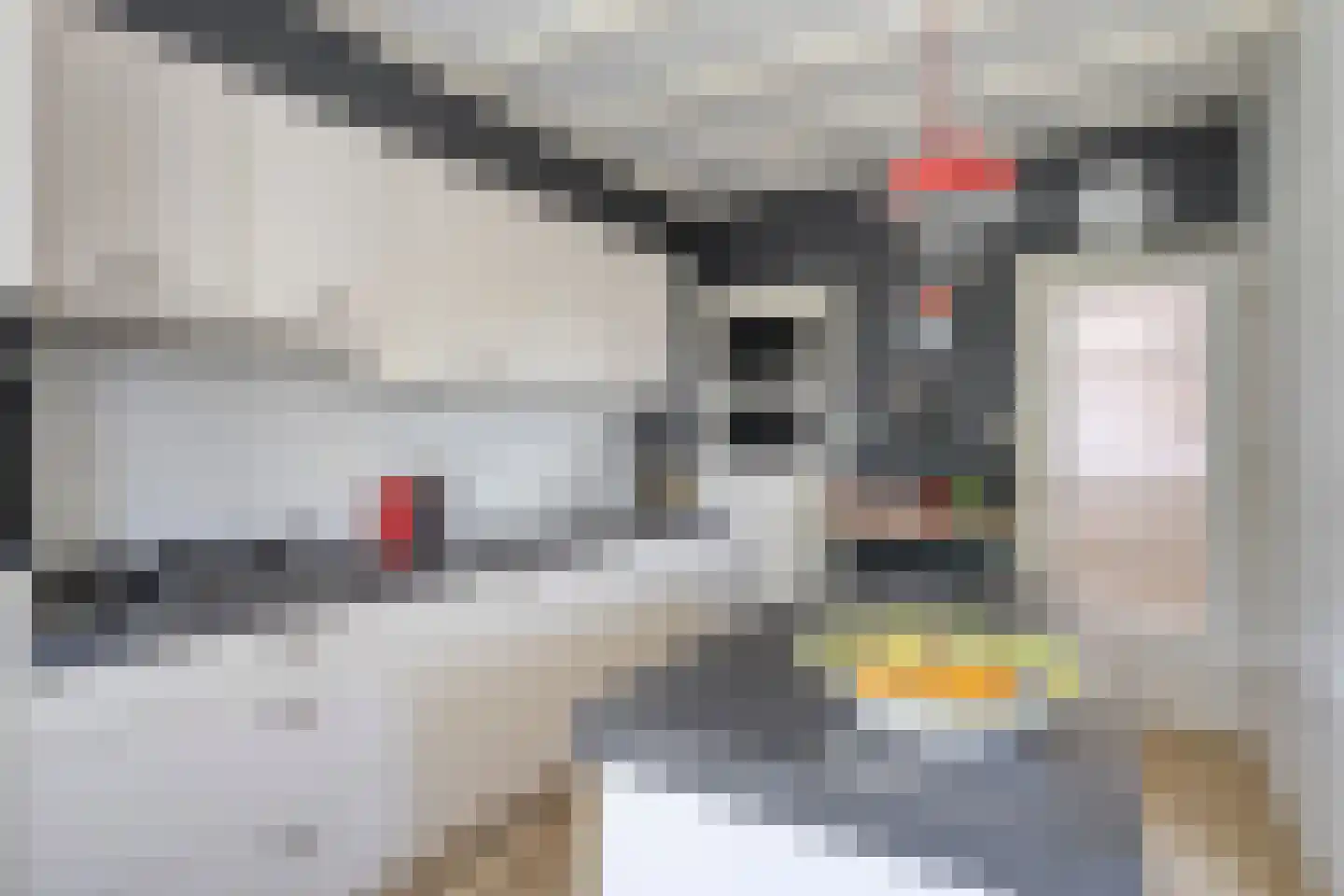 Oude Haarenseweg 2 Oisterwijk thumbnail 11