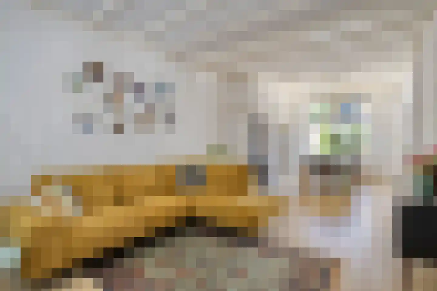 Oude Haarenseweg 2 Oisterwijk thumbnail 16
