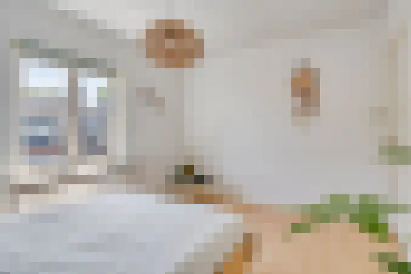 Oude Haarenseweg 2 Oisterwijk thumbnail 26