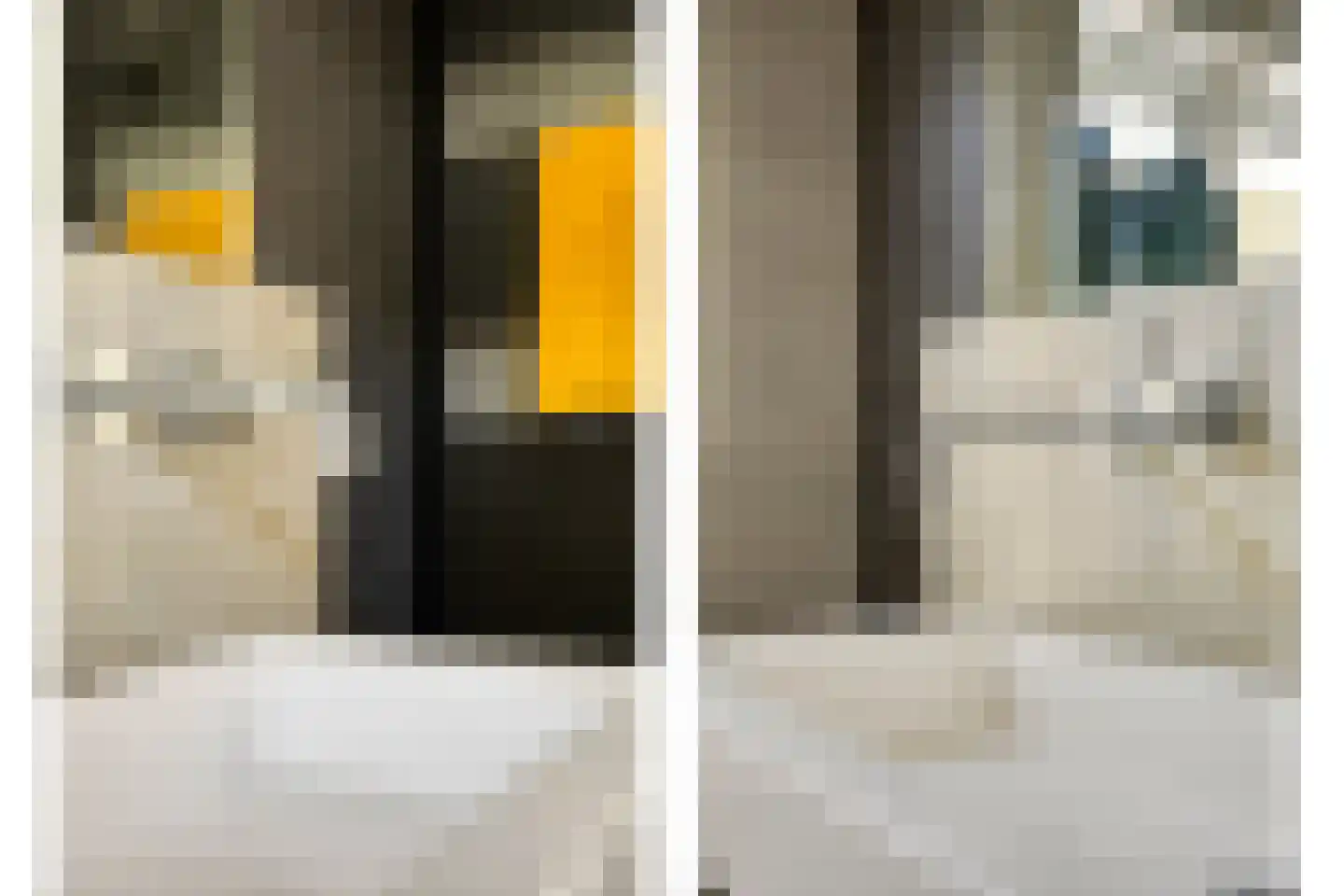 Oude Haarenseweg 2 Oisterwijk thumbnail 28