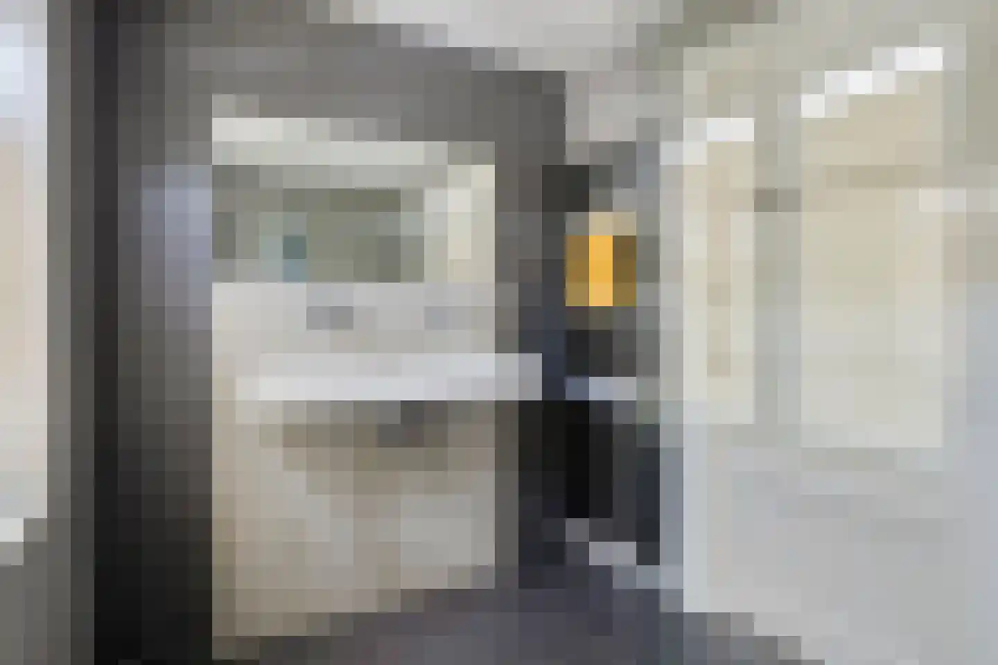 Oude Haarenseweg 2 Oisterwijk thumbnail 29
