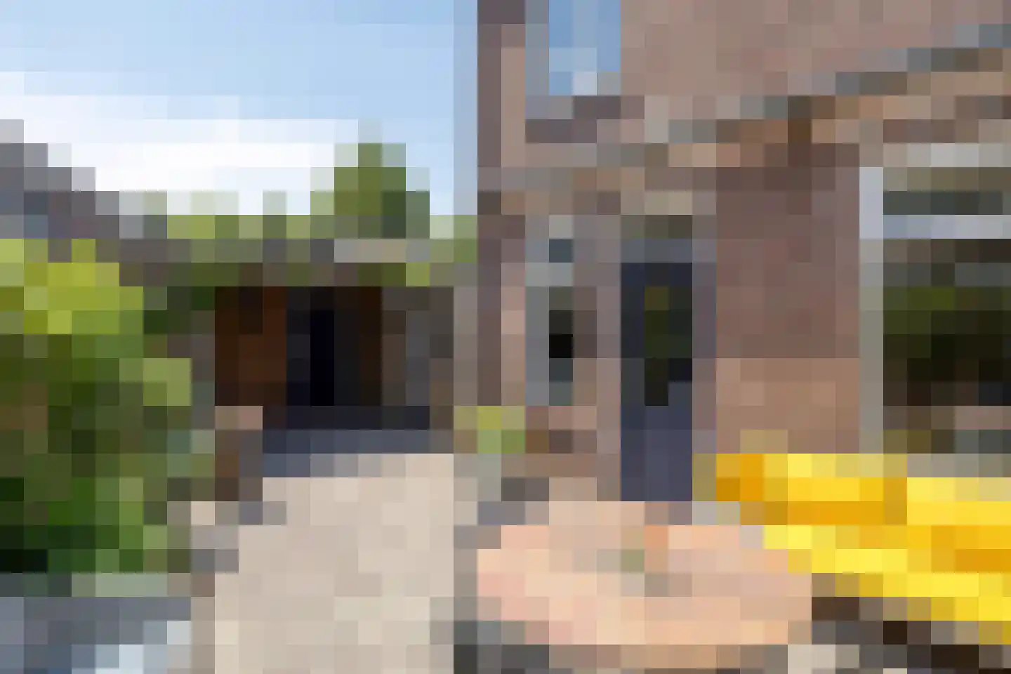 Oude Haarenseweg 2 Oisterwijk thumbnail 35
