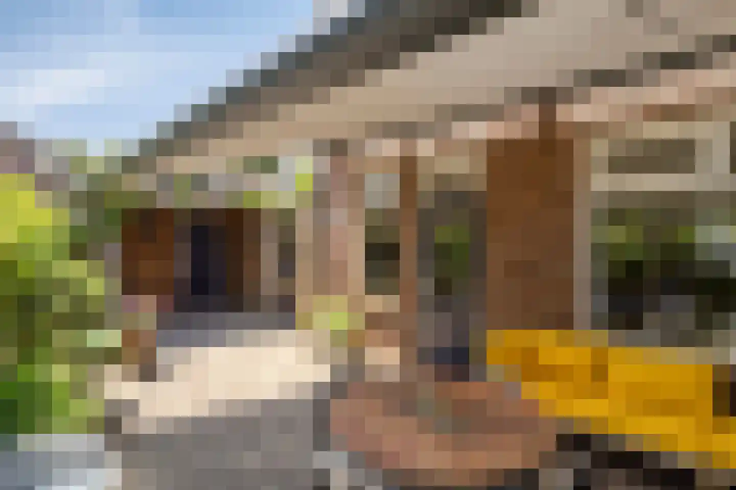 Oude Haarenseweg 2 Oisterwijk thumbnail 40