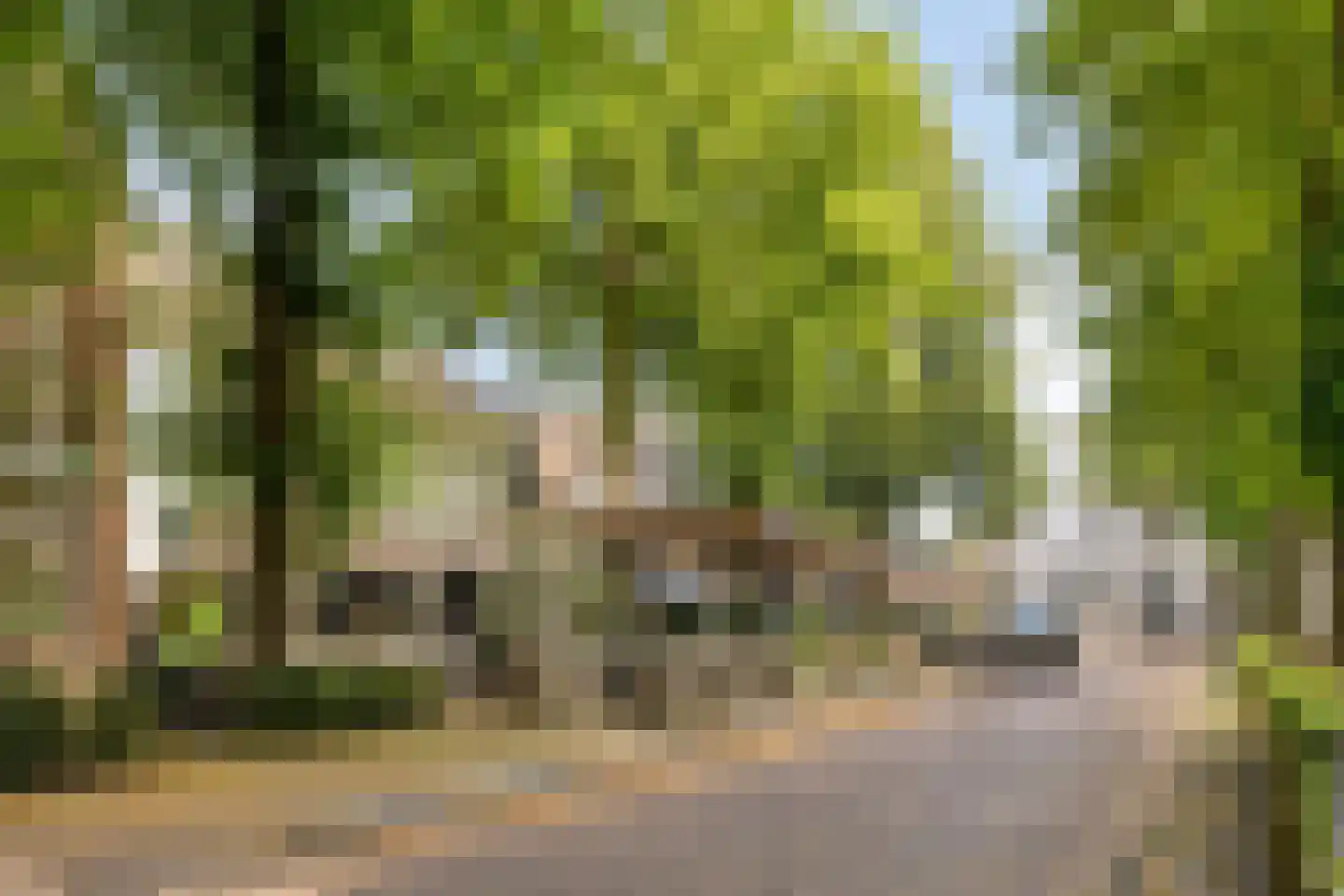 Oude Haarenseweg 2 Oisterwijk thumbnail 42
