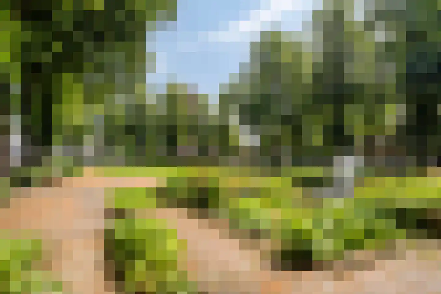 Oude Haarenseweg 2 Oisterwijk thumbnail 43