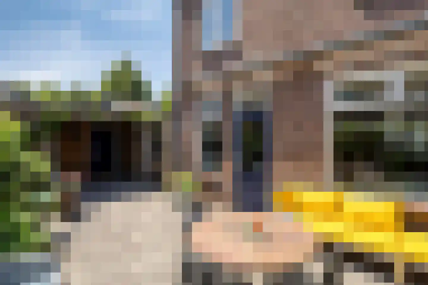 Oude Haarenseweg 2 Oisterwijk thumbnail 6