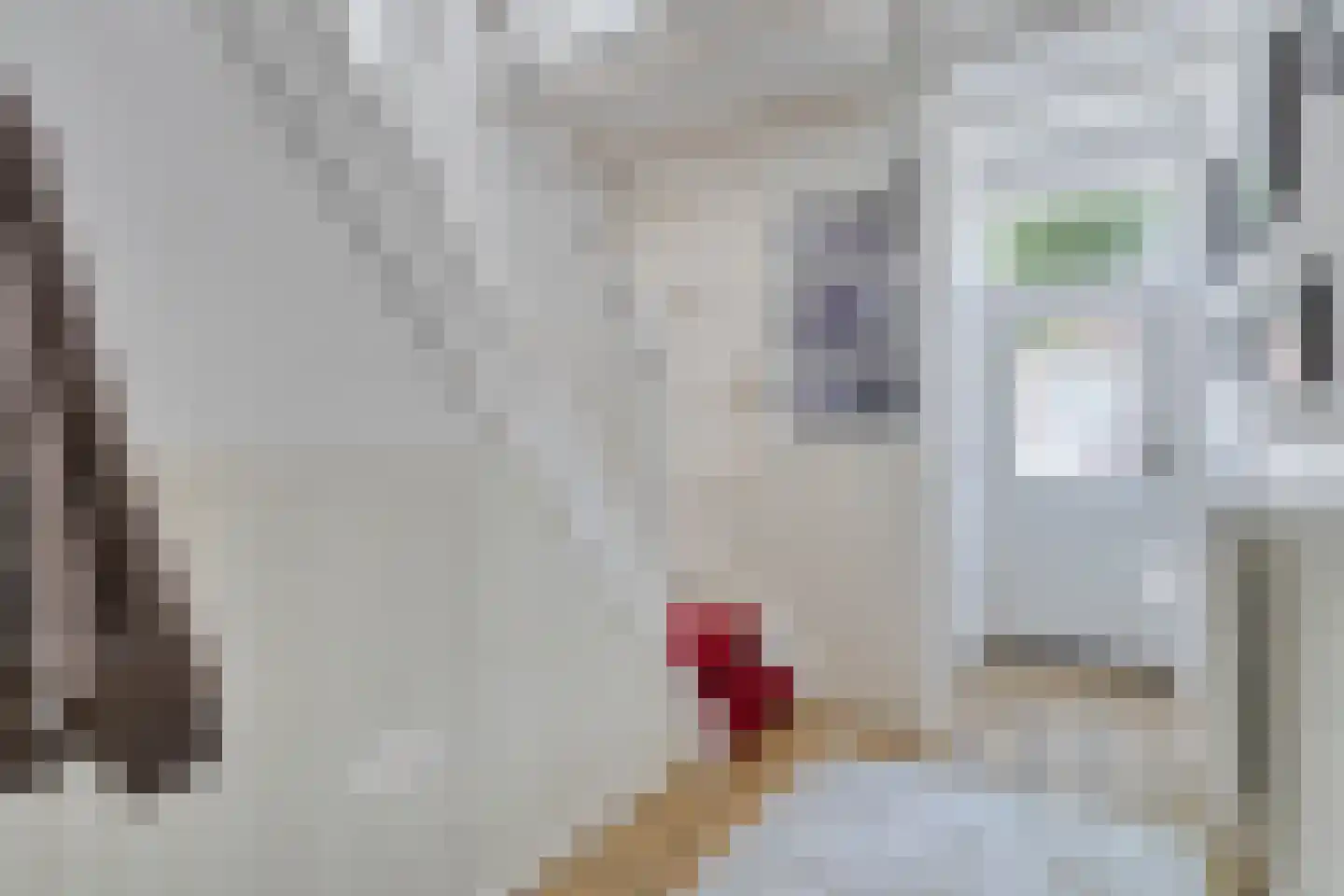 Oude Haarenseweg 2 Oisterwijk thumbnail 8