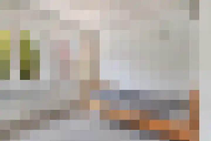Oude Haarenseweg 4 Oisterwijk thumbnail 16