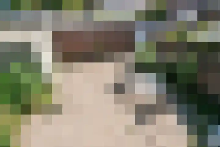 Oude Haarenseweg 4 Oisterwijk thumbnail 25