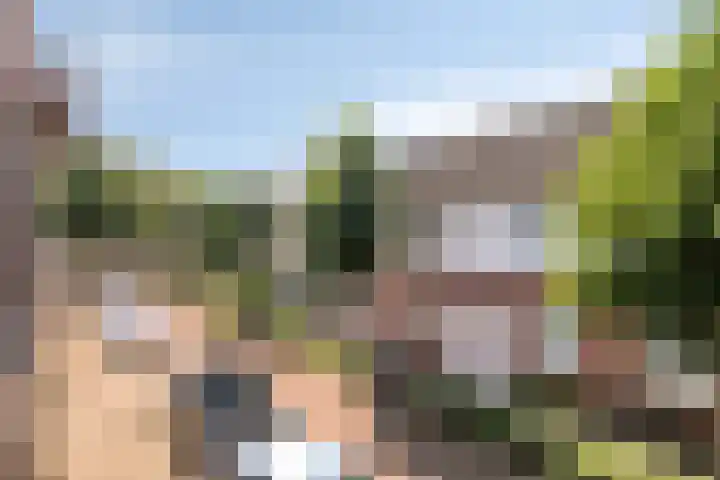 Oude Haarenseweg 4 Oisterwijk thumbnail 26