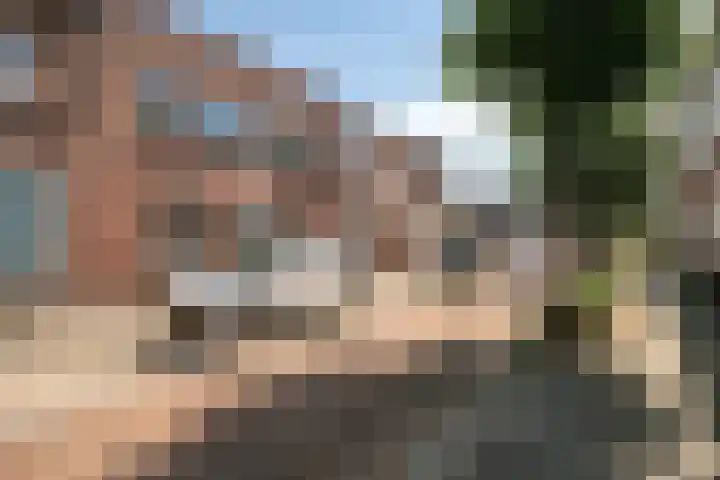 Oude Haarenseweg 4 Oisterwijk thumbnail 27