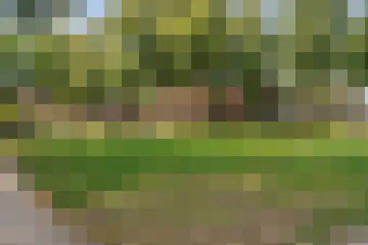 Oude Haarenseweg 4 Oisterwijk thumbnail 29