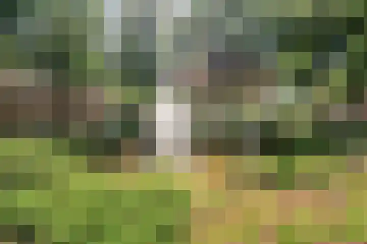 Oude Haarenseweg 4 Oisterwijk thumbnail 30
