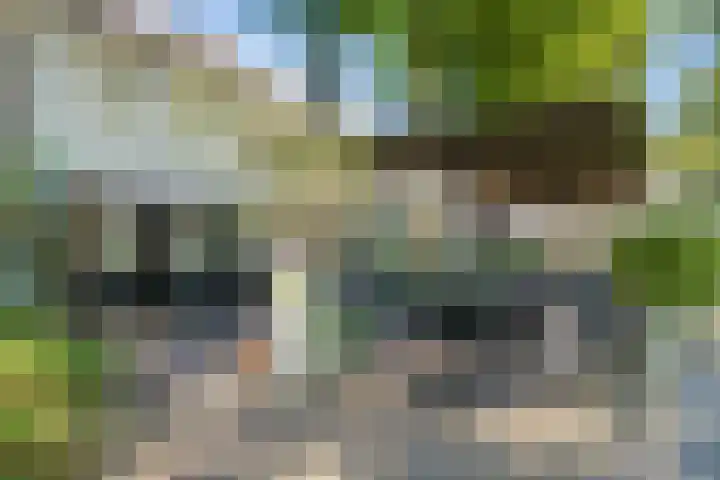 Oude Haarenseweg 4 Oisterwijk thumbnail 31