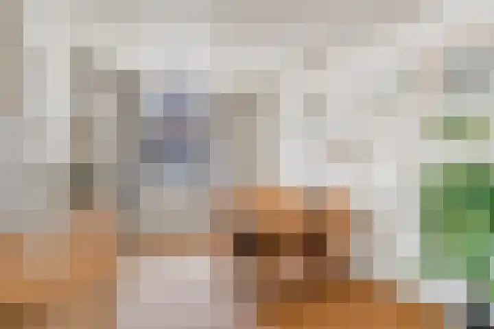 Oude Haarenseweg 4 Oisterwijk thumbnail 6