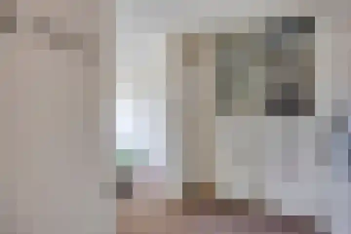 Oude Haarlemmerweg 21 Castricum thumbnail 18