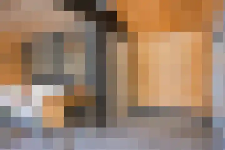 Oude Haarlemmerweg 21 Castricum thumbnail 33