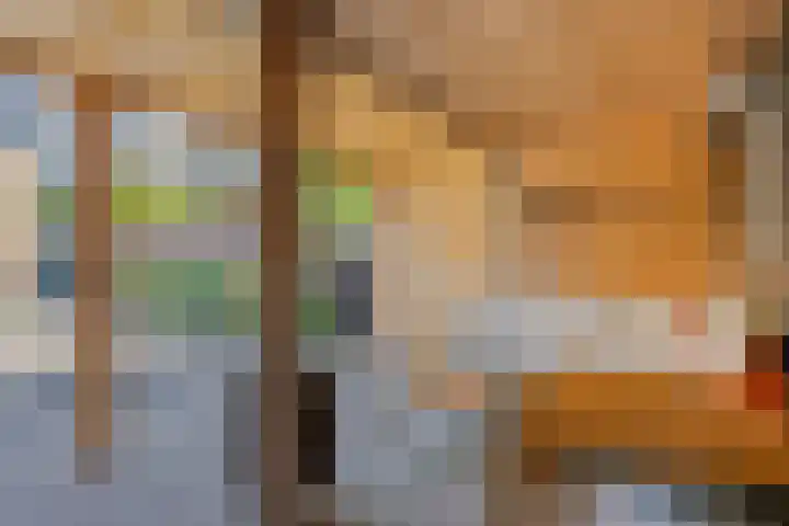 Oude Haarlemmerweg 21 Castricum thumbnail 34