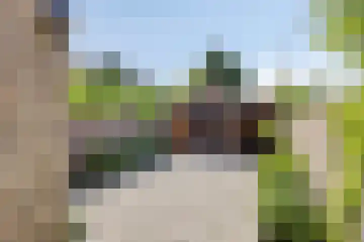 Oude Haarlemmerweg 21 Castricum thumbnail 6