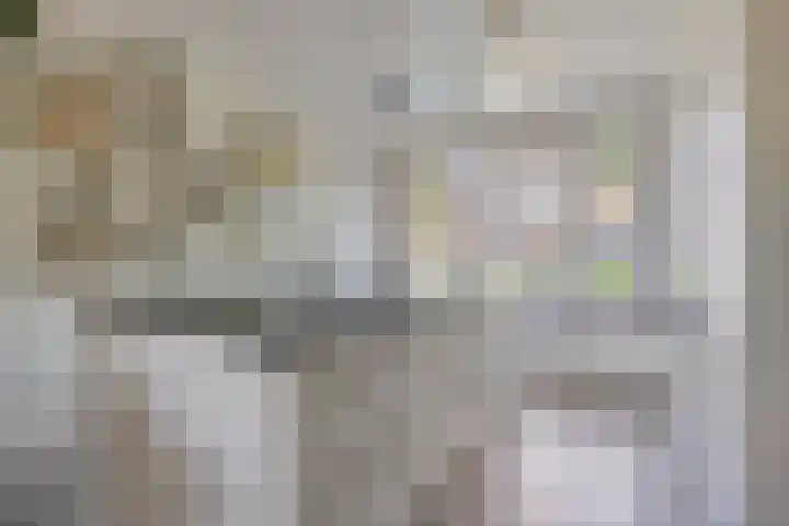 Oude Haarlemmerweg 21 Castricum thumbnail 8