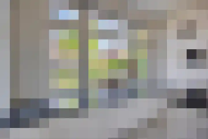 Oude Haarlemmerweg 21 Castricum thumbnail 9