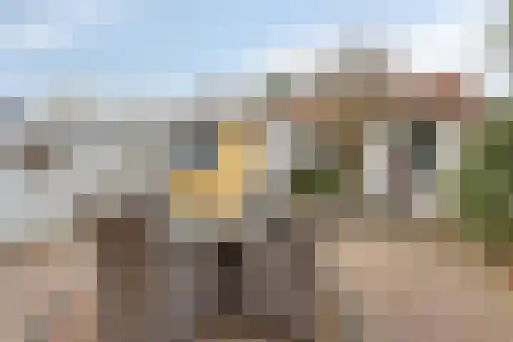 Oude Haarlemmerweg 33 Castricum thumbnail 26
