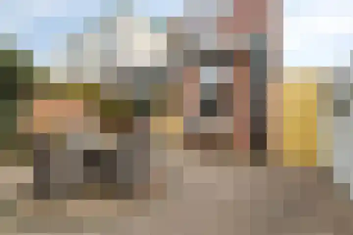 Oude Haarlemmerweg 33 Castricum thumbnail 28