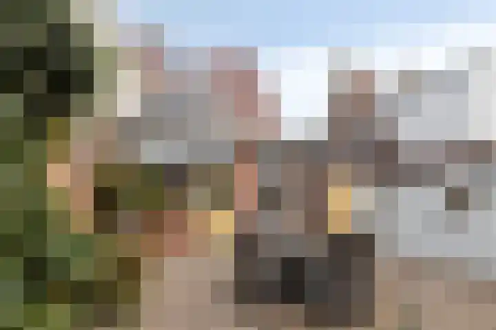 Oude Haarlemmerweg 33 Castricum thumbnail 29